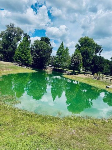 20005 NW 135TH AVENUE, Micanopy, FL 32667