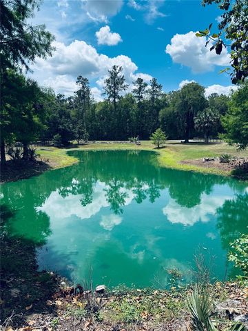 20005 NW 135TH AVENUE, Micanopy, FL 32667