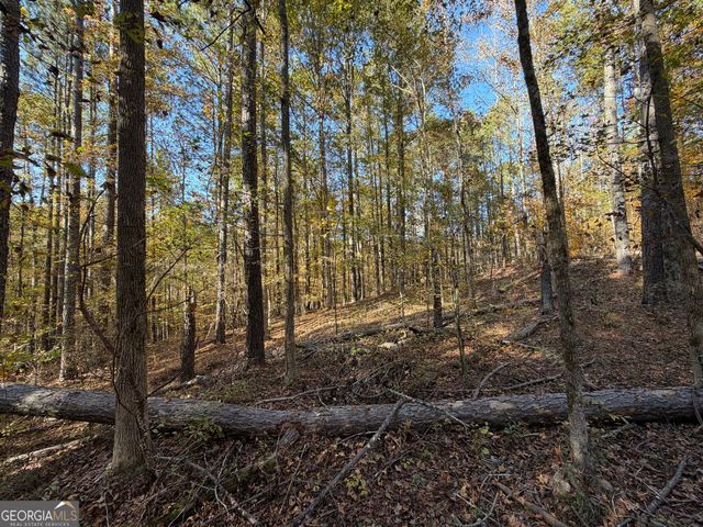 TRACT 1 1503 McDonald Road, Covington, GA 30014