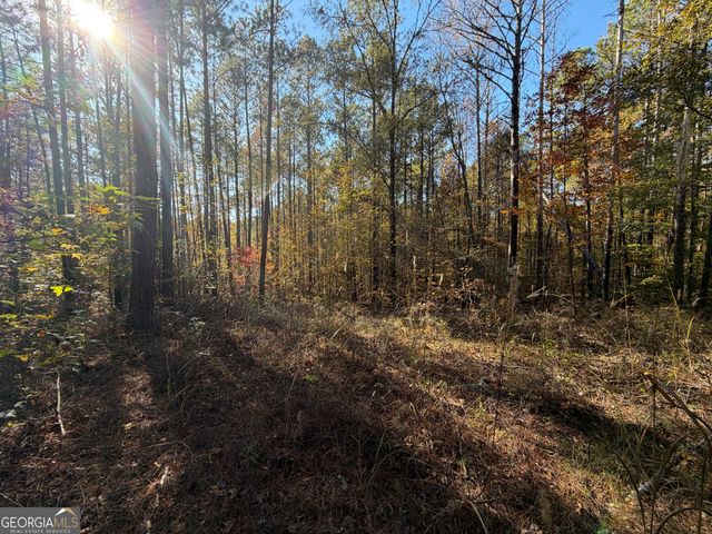 TRACT 1 1503 McDonald Road, Covington, GA 30014