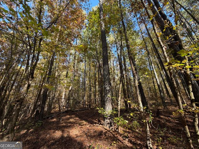 TRACT 1 1503 McDonald Road, Covington, GA 30014