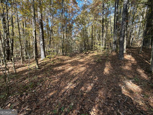 TRACT 1 1503 McDonald Road, Covington, GA 30014