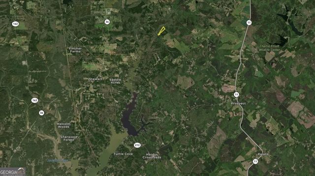TRACT 1 1503 McDonald Road, Covington, GA 30014