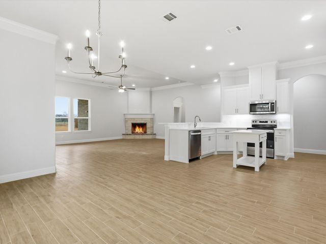 1318 Oleander Drive, Tolar, TX 76476