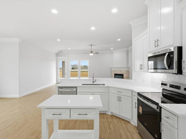 1318 Oleander Drive, Tolar, TX 76476