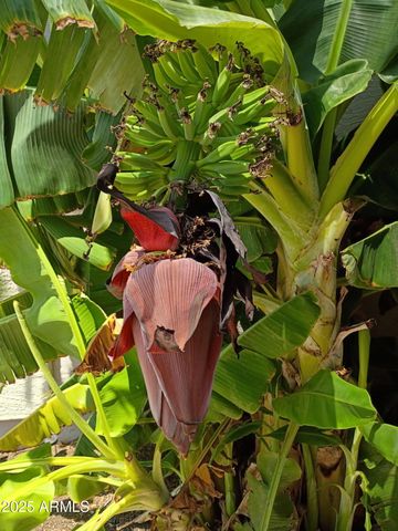 4018 E HARRISON Street, Gilbert, AZ 85295