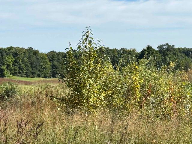 4855 Prestwick Court, Williamsburg, MI 49690