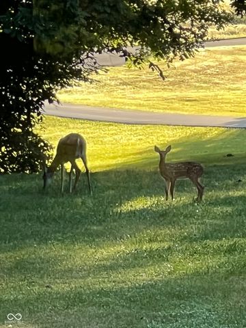 3215 Kestrel Court, Martinsville, IN 46151