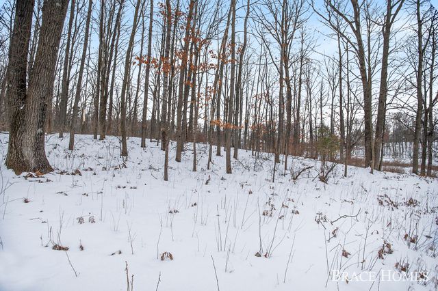 8426 Manitoba Street, Stanwood, MI 49346