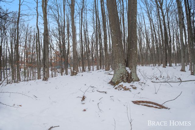 8426 Manitoba Street, Stanwood, MI 49346