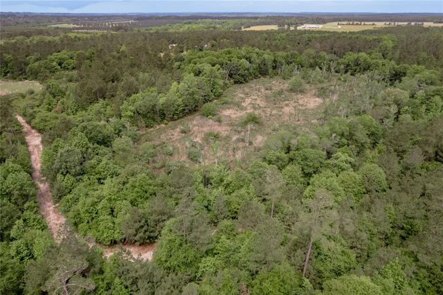 3134 Nursery Road, Livingston, TX 77351