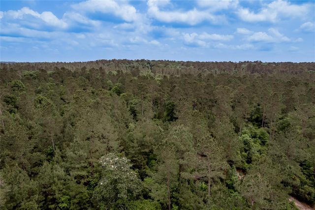 3134 Nursery Road, Livingston, TX 77351