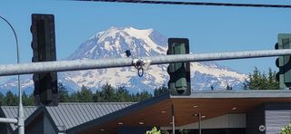 18615 101st Avenue Ct E #263, Puyallup, WA 98375