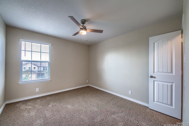 815 RED CROSSBILL, San Antonio, TX 78253