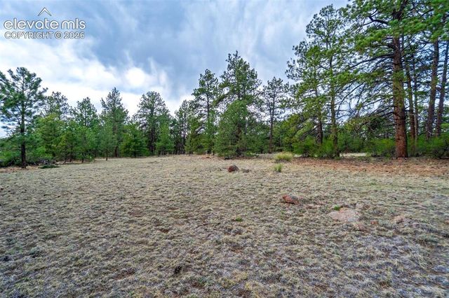 Tract 103 Doe Valley Road, Guffey, CO 80820