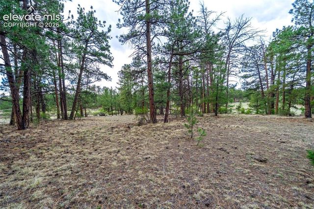 Tract 103 Doe Valley Road, Guffey, CO 80820
