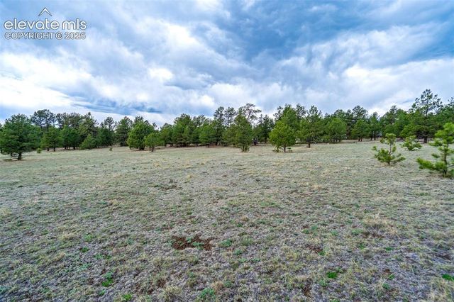 Tract 103 Doe Valley Road, Guffey, CO 80820