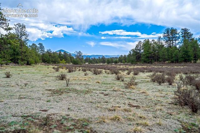 Tract 103 Doe Valley Road, Guffey, CO 80820