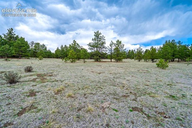 Tract 103 Doe Valley Road, Guffey, CO 80820