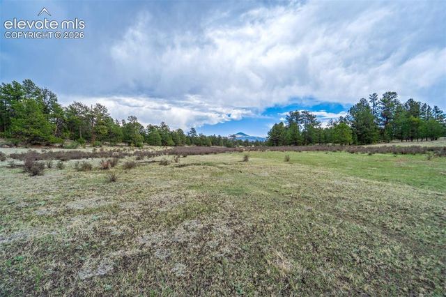 Tract 103 Doe Valley Road, Guffey, CO 80820