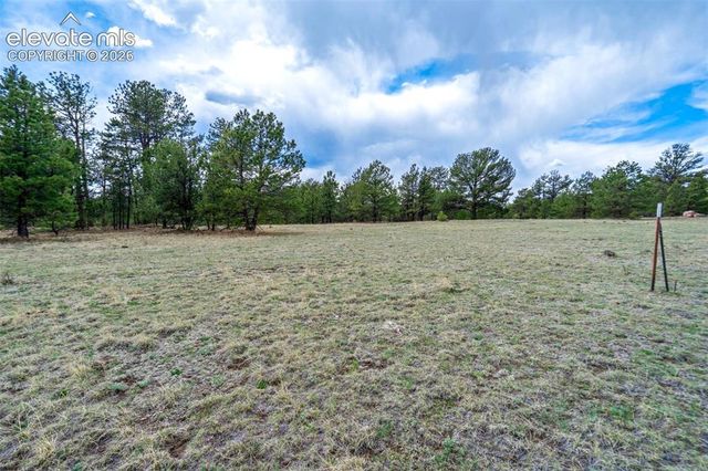 Tract 103 Doe Valley Road, Guffey, CO 80820