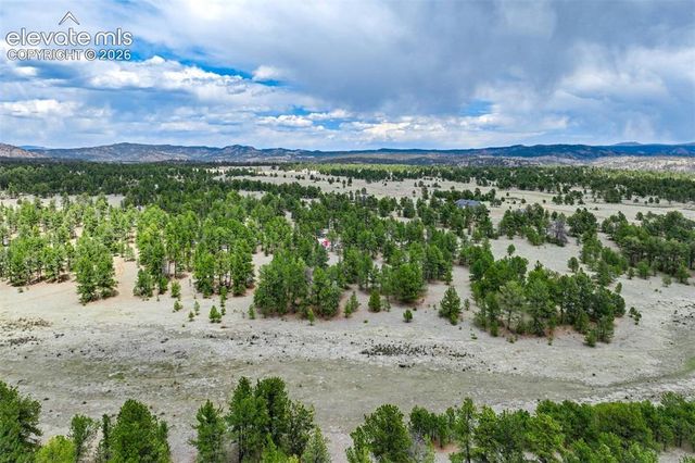 Tract 103 Doe Valley Road, Guffey, CO 80820
