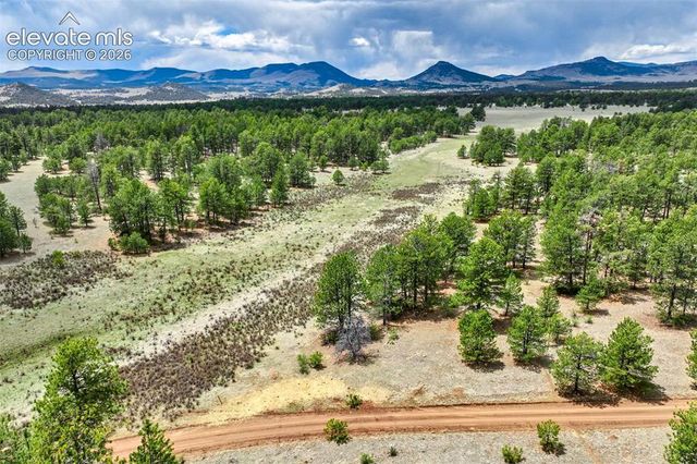 Tract 103 Doe Valley Road, Guffey, CO 80820