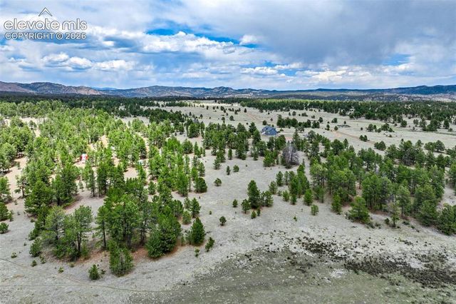 Tract 103 Doe Valley Road, Guffey, CO 80820