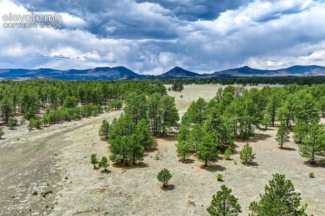Tract 103 Doe Valley Road, Guffey, CO 80820