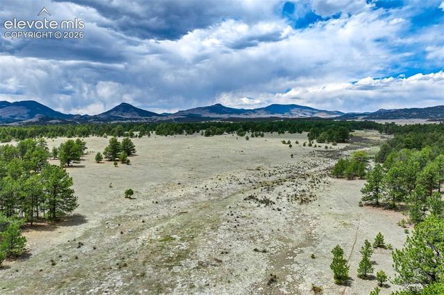 Tract 103 Doe Valley Road, Guffey, CO 80820