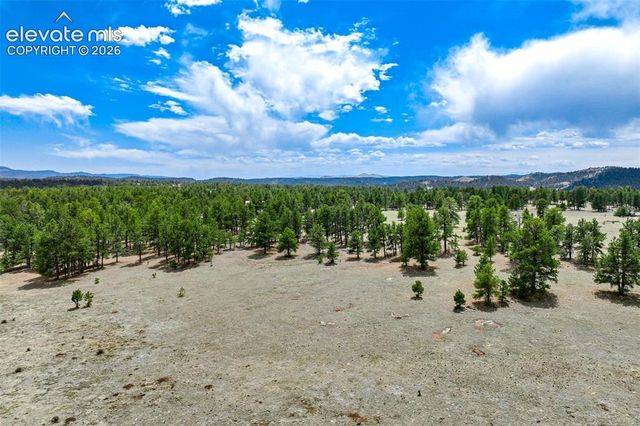 Tract 103 Doe Valley Road, Guffey, CO 80820