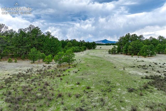 Tract 103 Doe Valley Road, Guffey, CO 80820