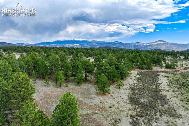 Tract 103 Doe Valley Road, Guffey, CO 80820