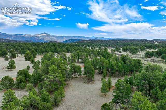 Tract 103 Doe Valley Road, Guffey, CO 80820