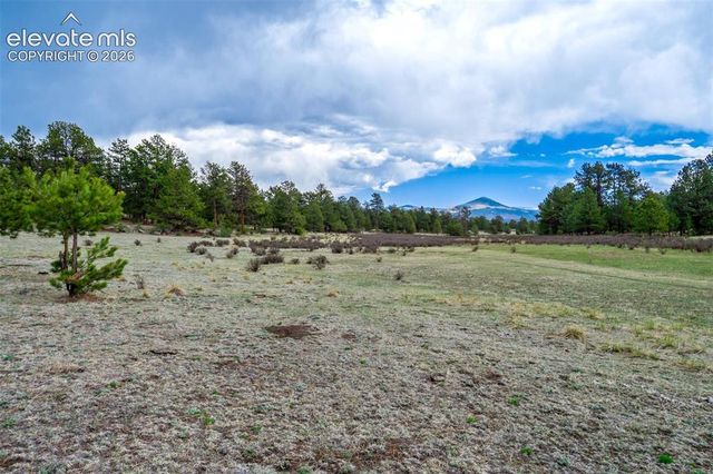 Tract 103 Doe Valley Road, Guffey, CO 80820