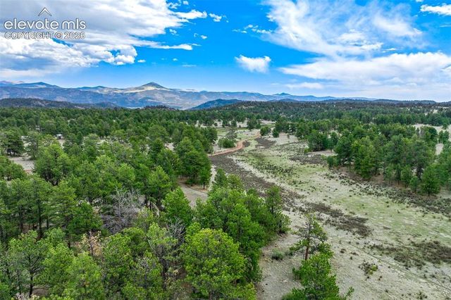 Tract 103 Doe Valley Road, Guffey, CO 80820