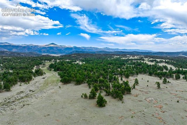 Tract 103 Doe Valley Road, Guffey, CO 80820