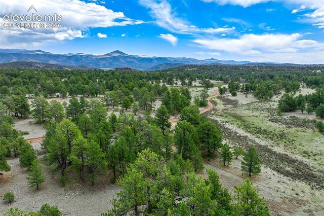 Tract 103 Doe Valley Road, Guffey, CO 80820