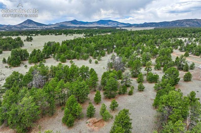 Tract 103 Doe Valley Road, Guffey, CO 80820
