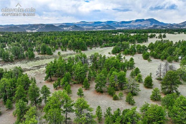 Tract 103 Doe Valley Road, Guffey, CO 80820