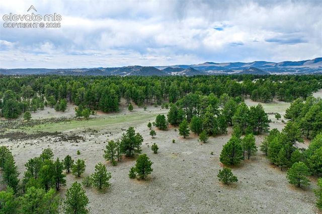Tract 103 Doe Valley Road, Guffey, CO 80820