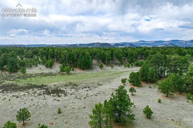 Tract 103 Doe Valley Road, Guffey, CO 80820