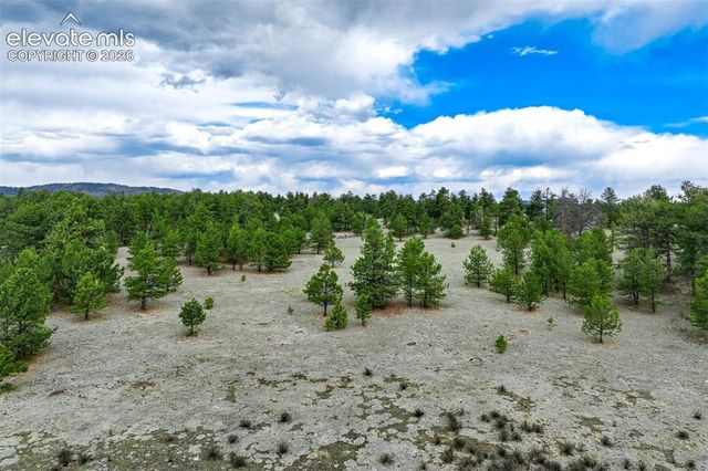 Tract 103 Doe Valley Road, Guffey, CO 80820