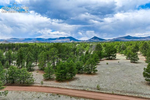 Tract 103 Doe Valley Road, Guffey, CO 80820