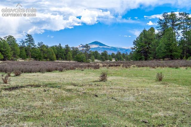 Tract 103 Doe Valley Road, Guffey, CO 80820