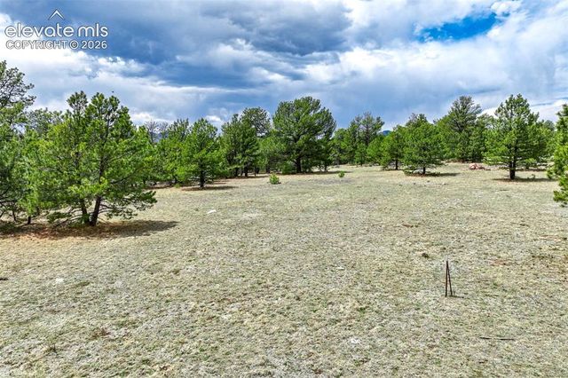 Tract 103 Doe Valley Road, Guffey, CO 80820