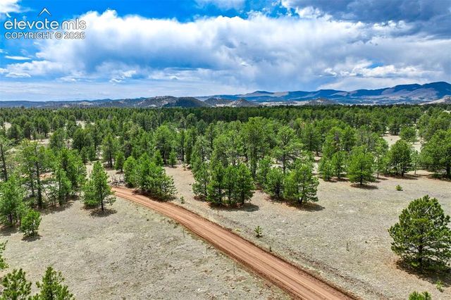 Tract 103 Doe Valley Road, Guffey, CO 80820