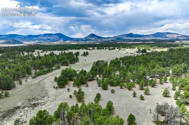 Tract 103 Doe Valley Road, Guffey, CO 80820