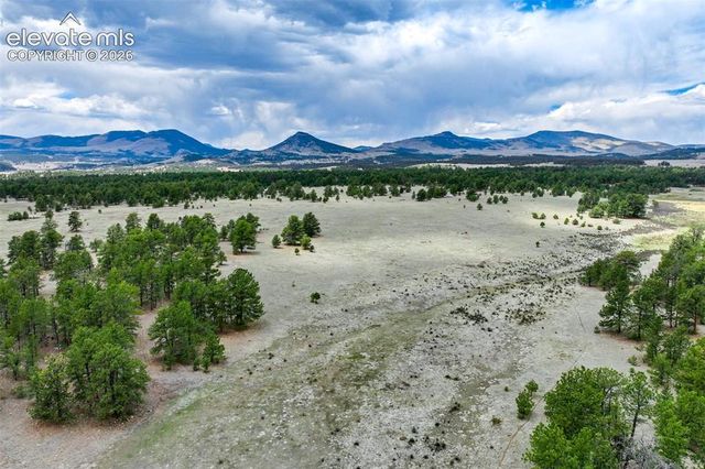 Tract 103 Doe Valley Road, Guffey, CO 80820
