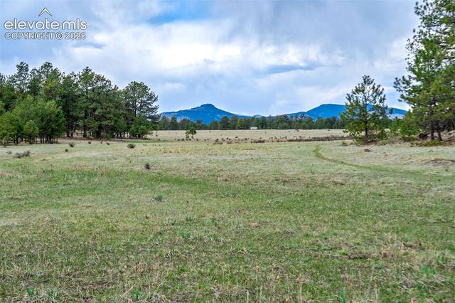 Tract 103 Doe Valley Road, Guffey, CO 80820